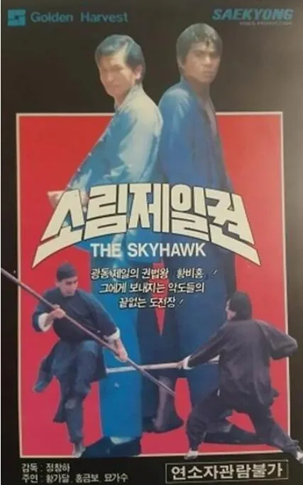 黄飞鸿少林拳海报