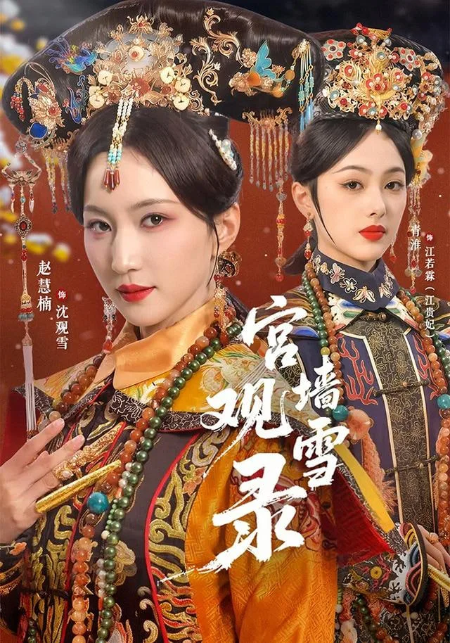 宫墙观雪录海报