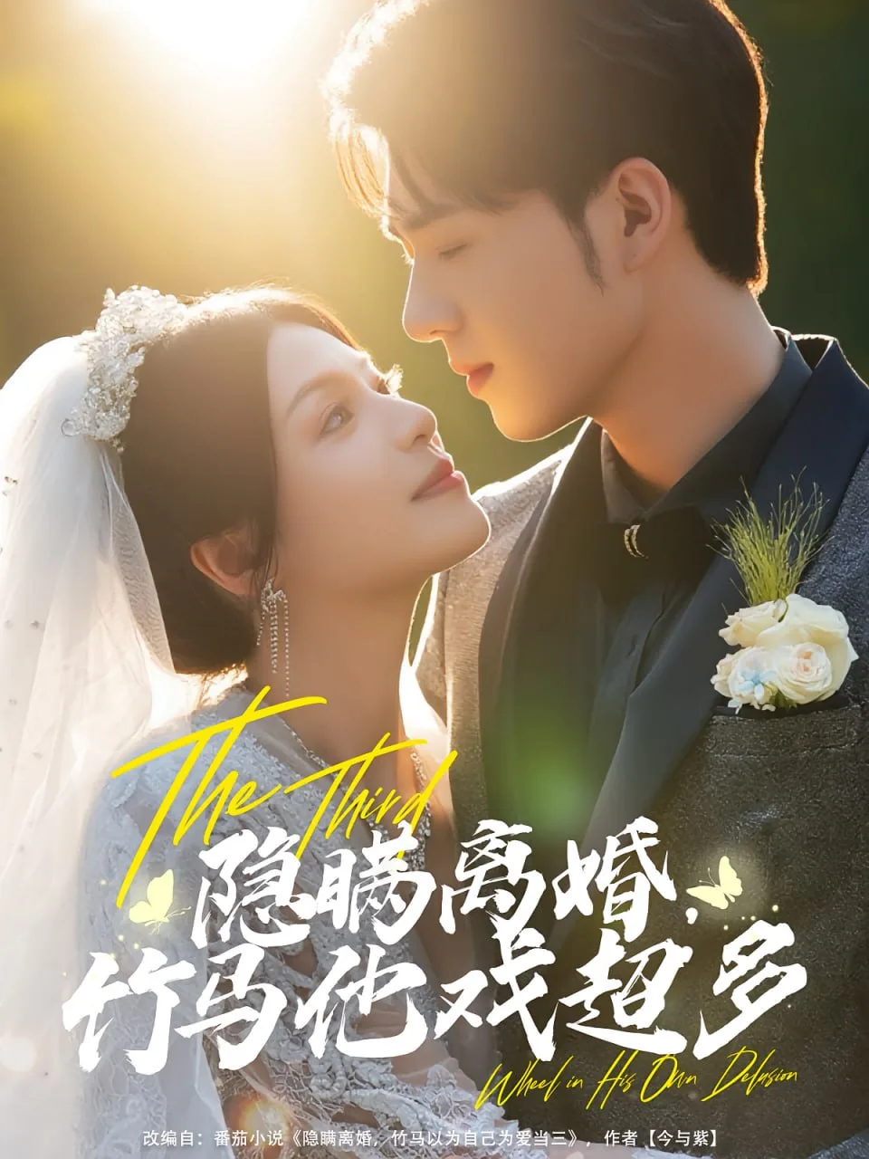 隐瞒离婚竹马他戏超多海报