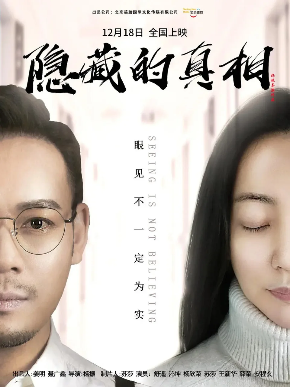 隐藏的真相海报