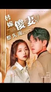替嫁傻妻想失宠海报
