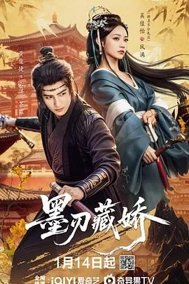 墨刃藏娇海报