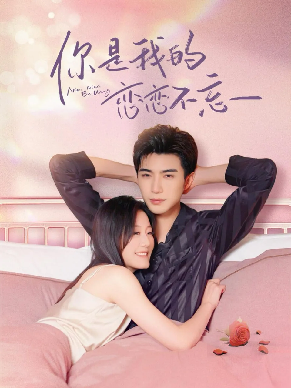 你是我的恋恋不忘（你是我的念念不忘）海报