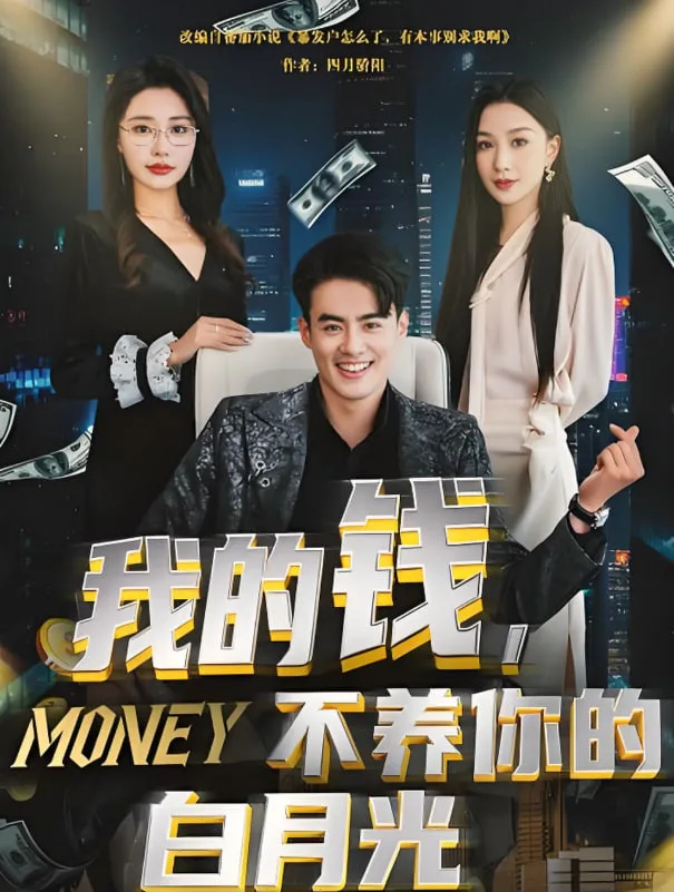我的钱，不养你的白月光海报