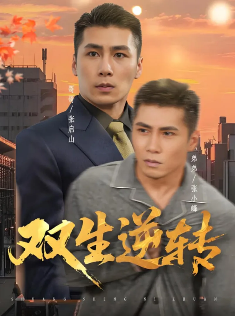 双生逆转海报