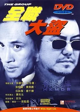 全职大盗海报