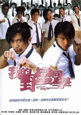 我的野蛮同学（国语版）海报