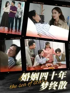 婚姻四十年梦终散海报