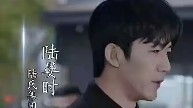 抢婚！陆总蓄谋已久海报