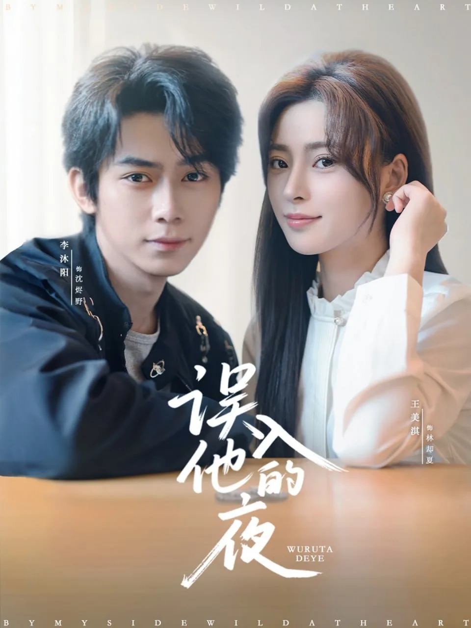 误入他的夜（烬夏危情）海报