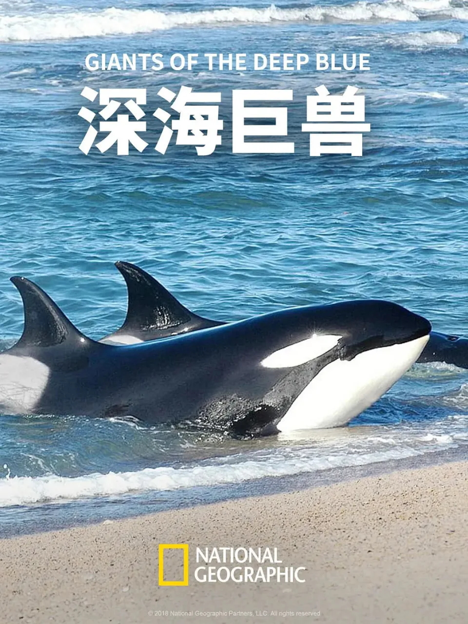 深海巨兽海报