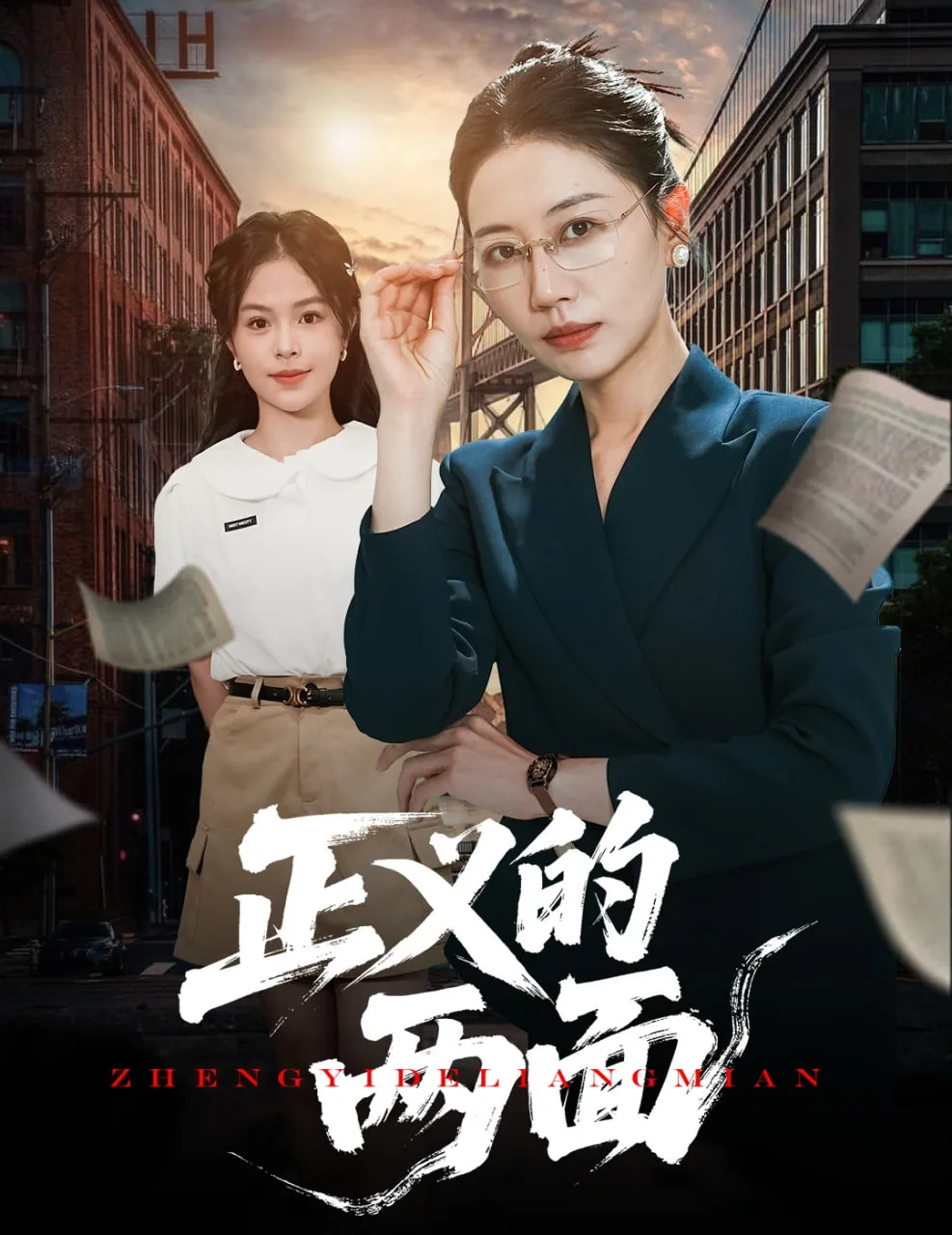 正义的两面海报
