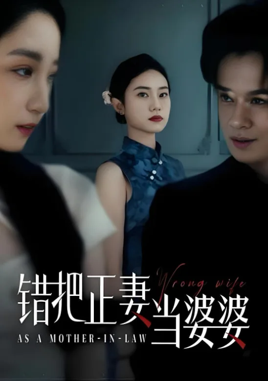 错把正妻当婆婆海报