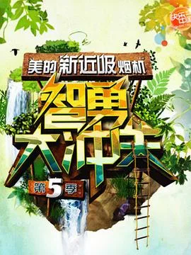 智勇大冲关 第五季海报