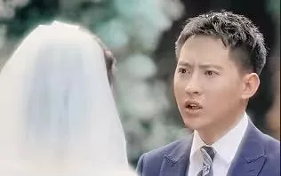 逆袭刘公子归来海报