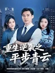 重生逆袭之平步青云海报