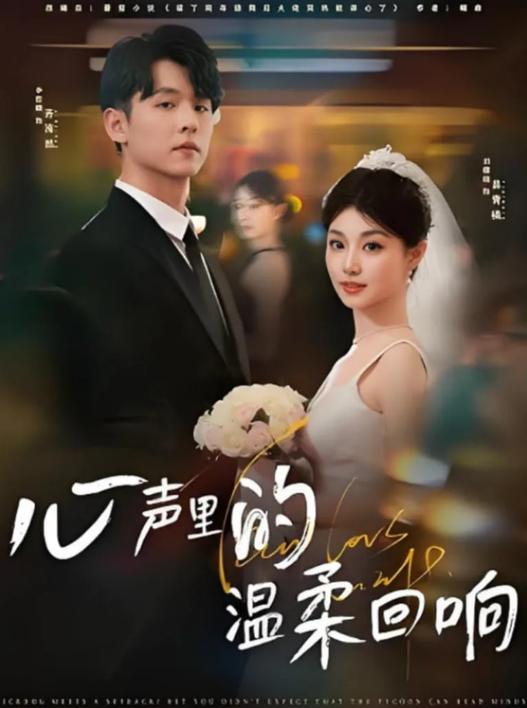 心声里的温柔回响海报