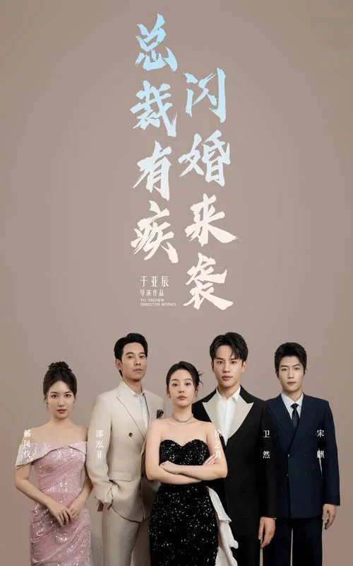 总裁有疾闪婚来袭海报