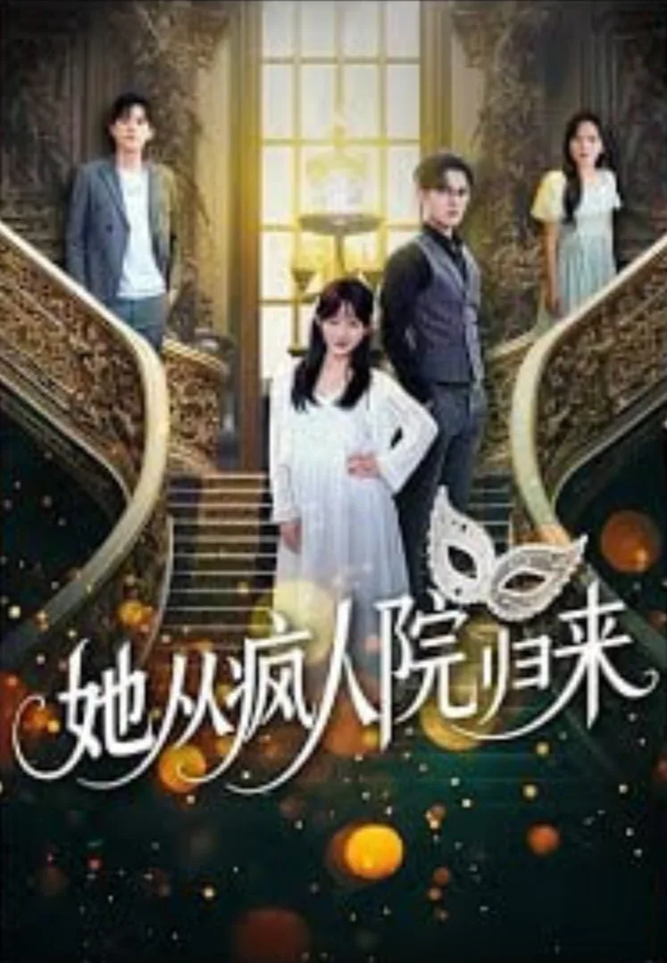 她从疯人院归来海报