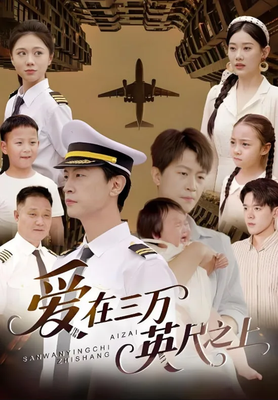 爱在三万英尺之上海报