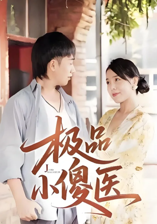 极品小傻医海报