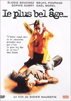 法国花样年华《激情篇》海报