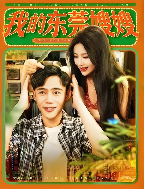 我的东莞嫂嫂海报