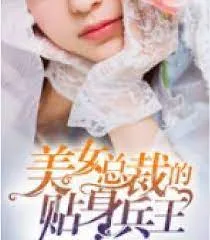 美女总裁的贴身兵王海报