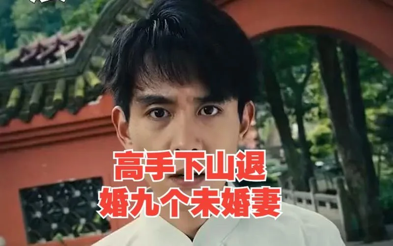 高手下山退婚九个未婚妻海报