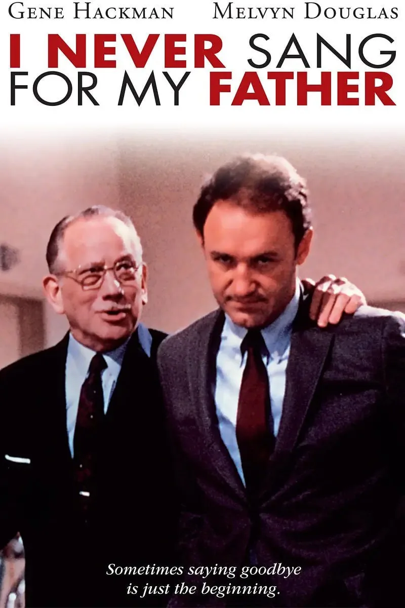 两代情怀海报