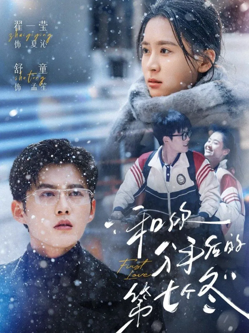 和你分手后的第七个冬海报